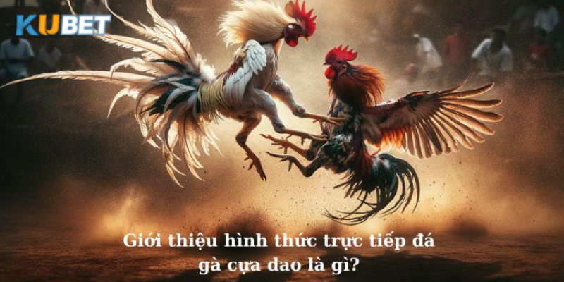 Trực tiếp phát sóng với chất lượng hình ảnh và âm thanh vượt trội