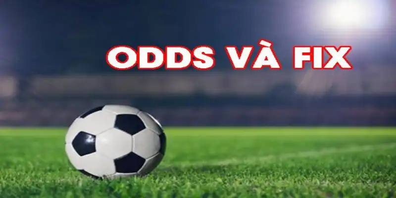 Chi tiết phân loại và cách đọc odds nhà cái từng kèo