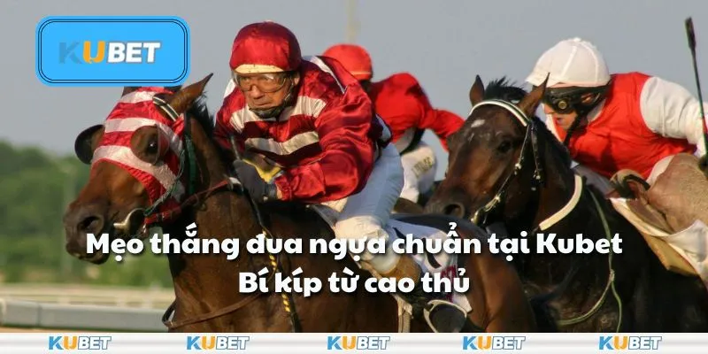Mẹo thắng đua ngựa chuẩn tại Kubet: Bí kíp từ cao thủ